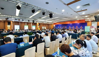 巨鹿金銀花 科技賦能產業升級，新產品新技術引領發展新篇章